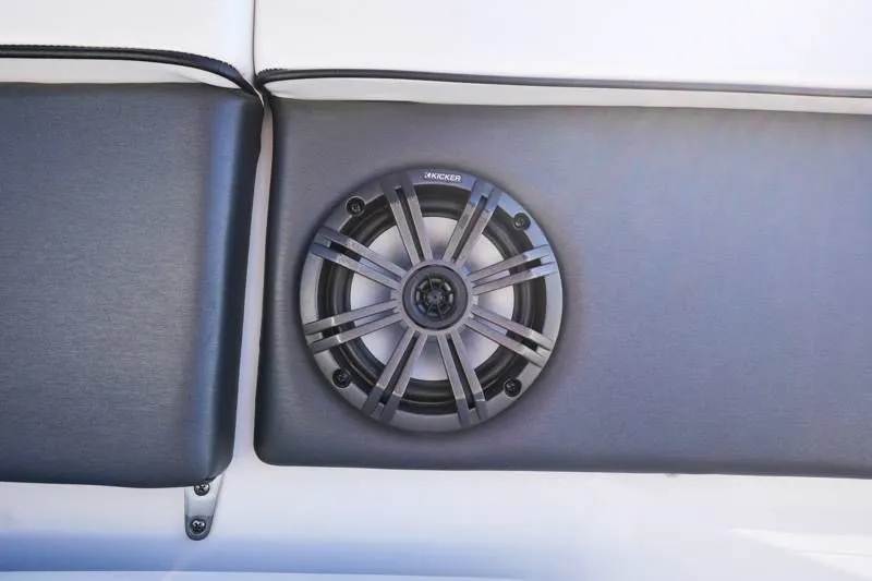 Slide: The Image of Scarab 285ID 2021 - 45