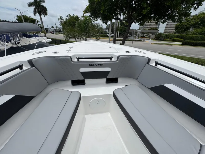 Slide: The Image of Sea Pro 292 DLX 2026 - 70