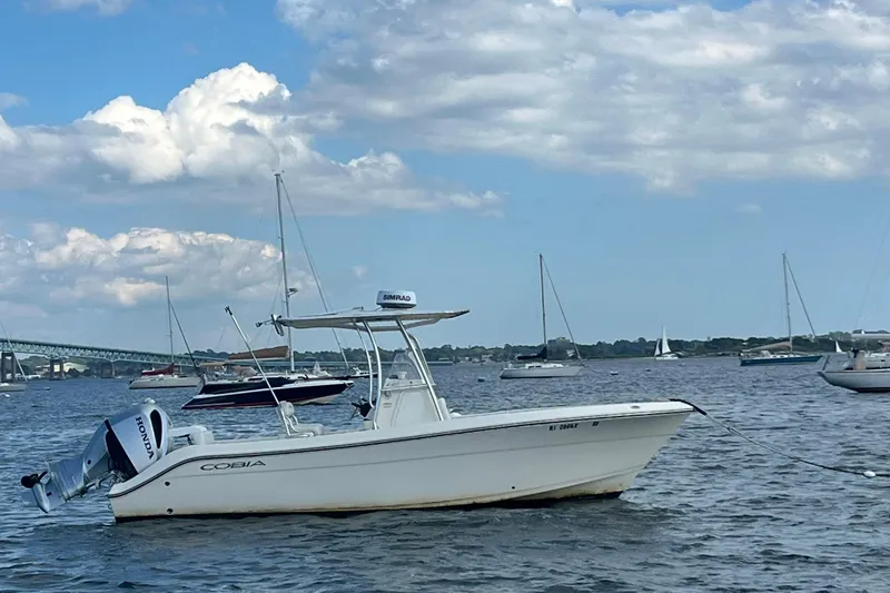 The Image of 2021 Cobia 237 Center Console boat anchored on a calm, scenic waterway. - 0