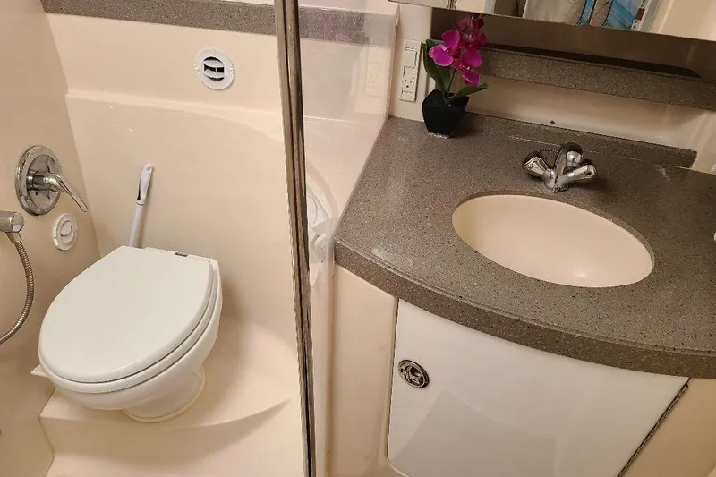 Slide: The Image of 2009 Regal Commodore 3760 IB bathroom with toilet, sink, and decorative orchid. - 17