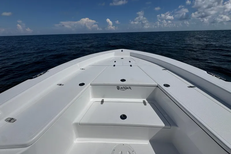 Slide: The Image of 2026 BlackJack 256 Bay boat console with steering wheel and navigation display. - 13