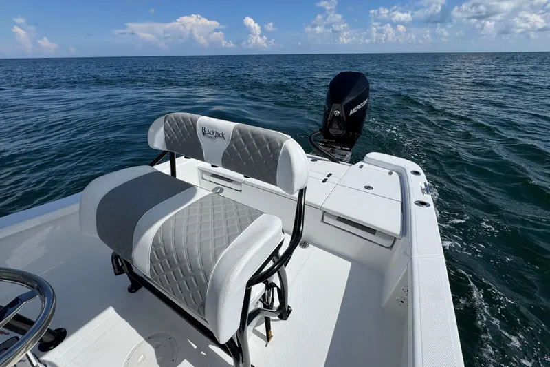 Slide: The Image of 2026 BlackJack 256 Bay boat with T-top and speakers, parked outdoors. - 15