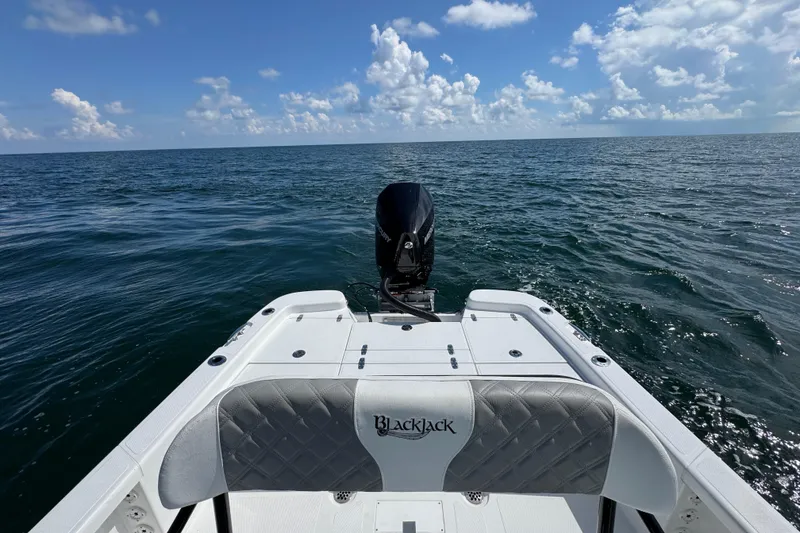Slide: The Image of 2026 BlackJack 256 Bay boat, sleek design, parked outdoors with palm trees. - 17
