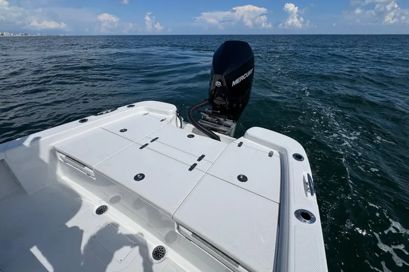 Slide: The Image of 2026 BlackJack 256 Bay boat speakers and logo on sleek interior ceiling. - 25