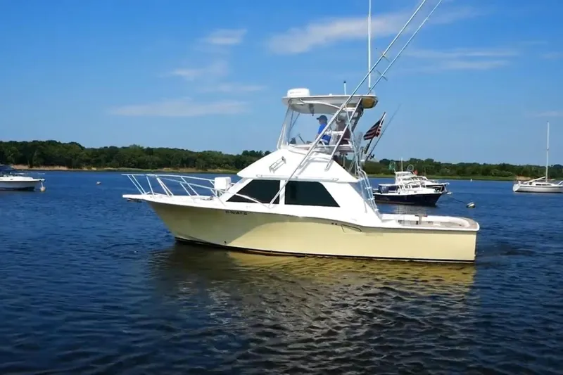 The Image of 1975 Chris-Craft 30 Tournament SF boat on calm water, clear sky background. - 0