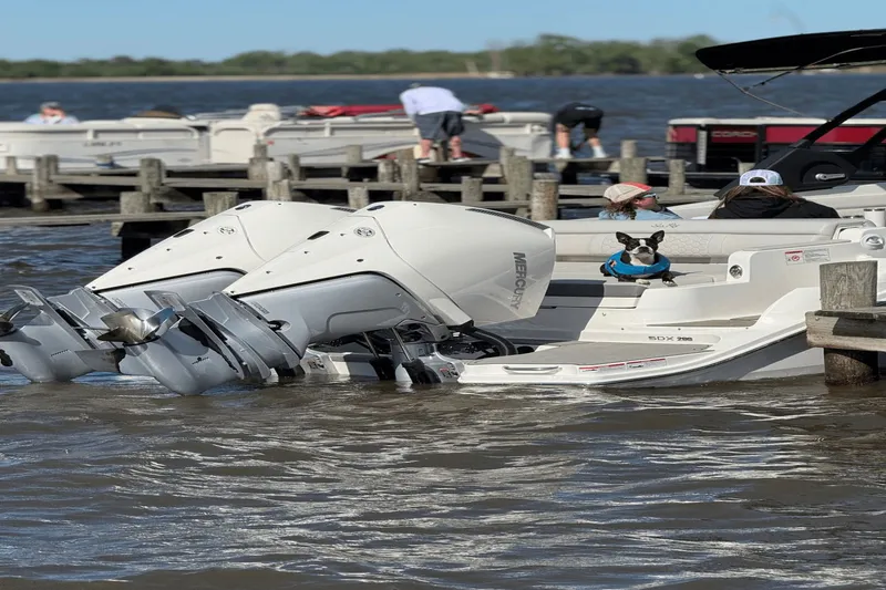 Slide: The Image of Sea Ray SDX 290 Outboard 2023 - 22