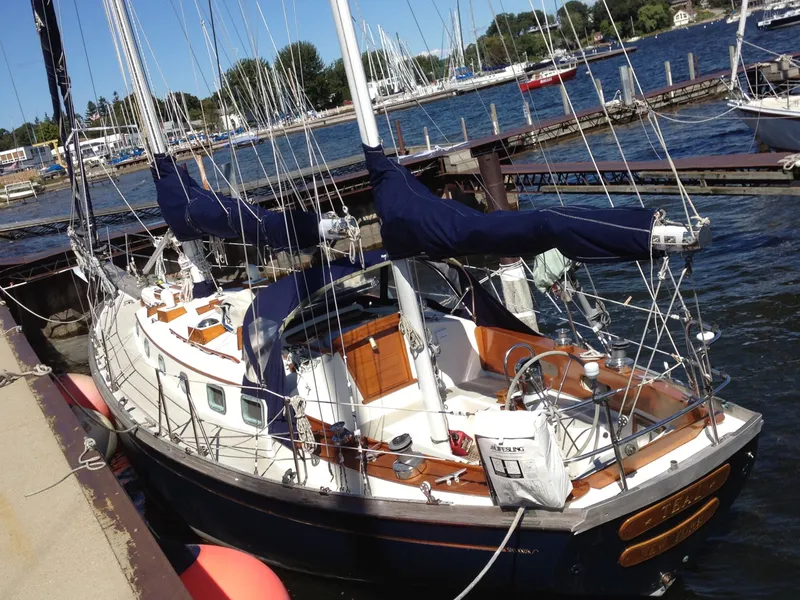 The Image of Shannon 38 1983 - 0