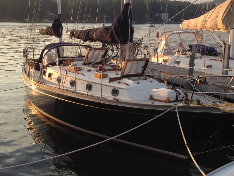 Slide: The Image of Shannon 38 1983 - 1