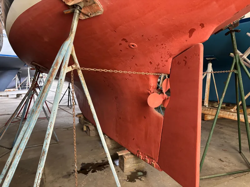 Slide: The Image of Shannon 38 1983 - 11