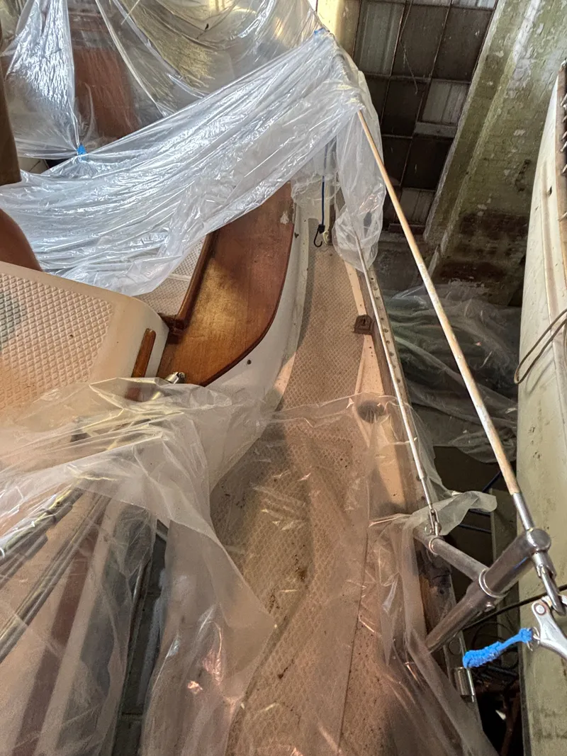 Slide: The Image of Shannon 38 1983 - 17