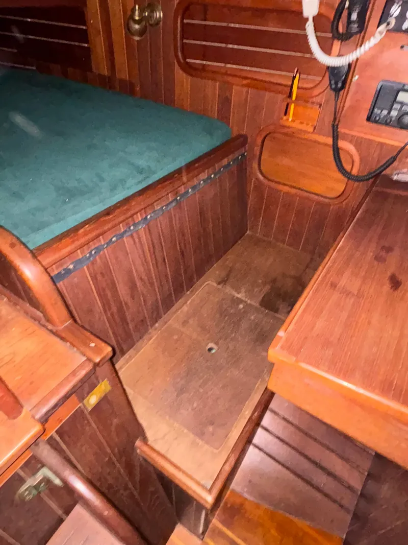 Slide: The Image of Shannon 38 1983 - 44