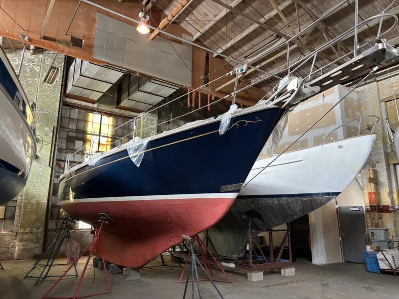 Slide: The Image of Shannon 38 1983 - 6