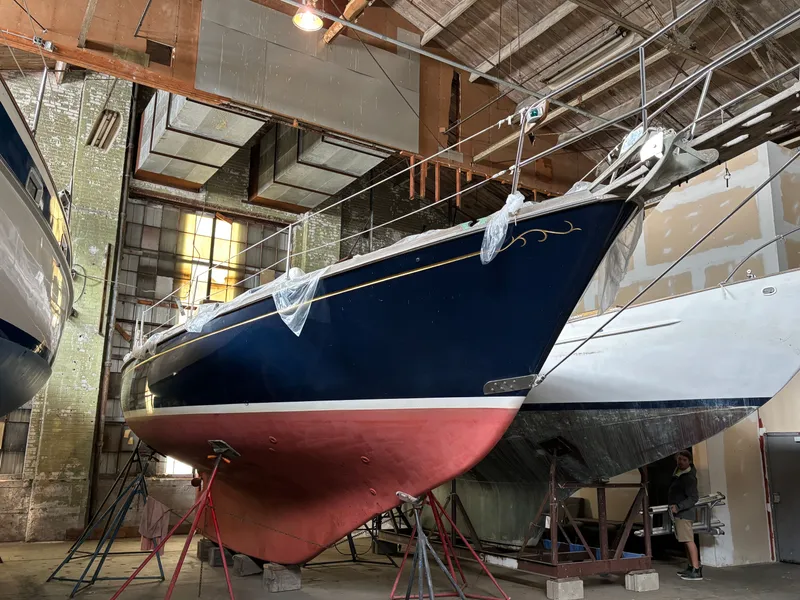 Slide: The Image of Shannon 38 1983 - 7