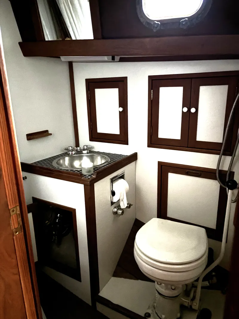 Slide: The Image of Shannon 38 1983 - 84