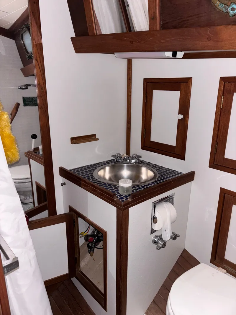 Slide: The Image of Shannon 38 1983 - 86