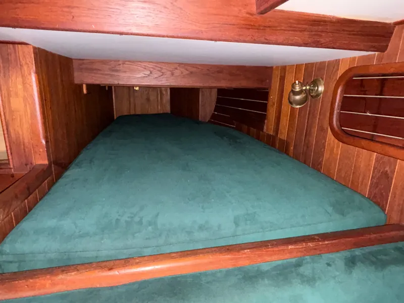 Slide: The Image of Shannon 38 1983 - 87