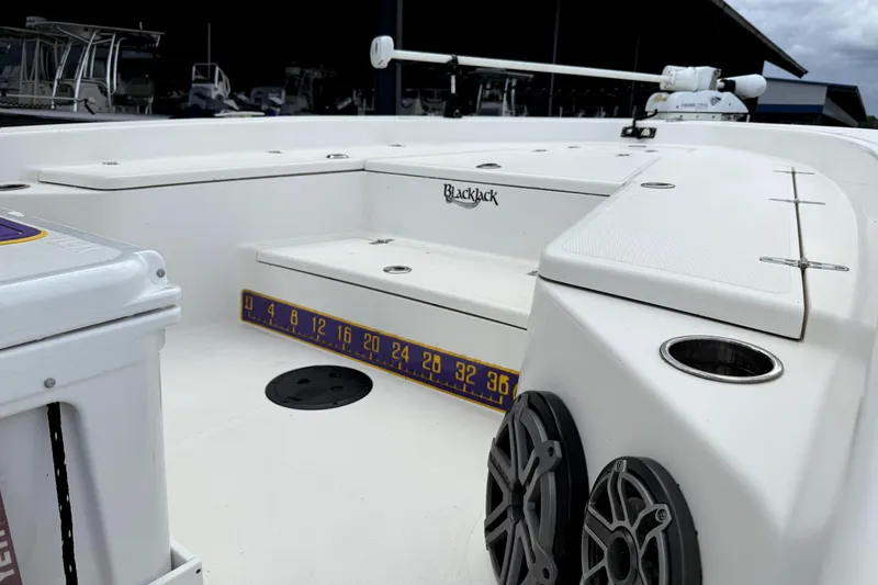 Slide: The Image of 2019 BlackJack 256 boat interior with seating, speakers, and measuring ruler. - 13