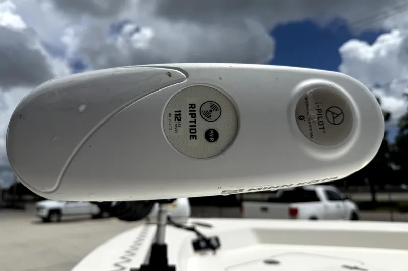 Slide: The Image of Minn Kota Riptide trolling motor on 2019 BlackJack 256 boat under cloudy sky. - 14