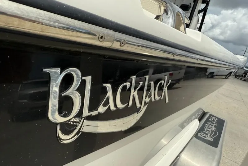 Slide: The Image of 2019 BlackJack 256 boat with sleek design and chrome logo on the side. - 17