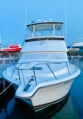 Slide: The Image of Tiara 4300 Convertible 1995 - 66