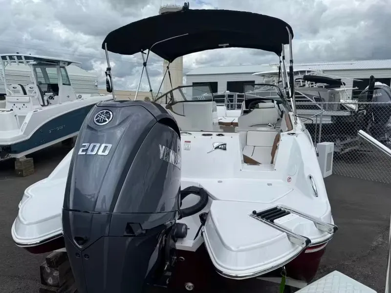 Slide: The Image of Stingray 231 DC 2026 - 3