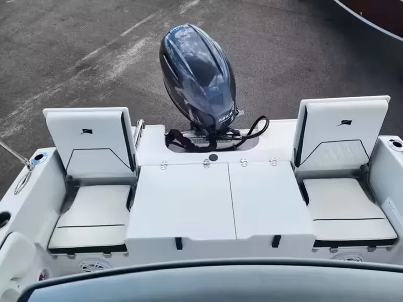 Slide: The Image of Stingray 173 CC 2026 - 12