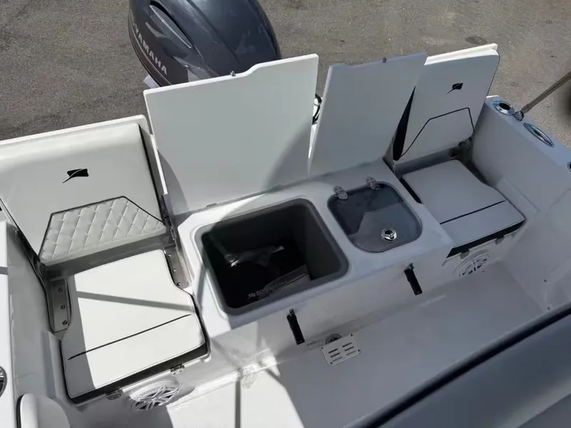 Slide: The Image of Stingray 173 CC 2026 - 13