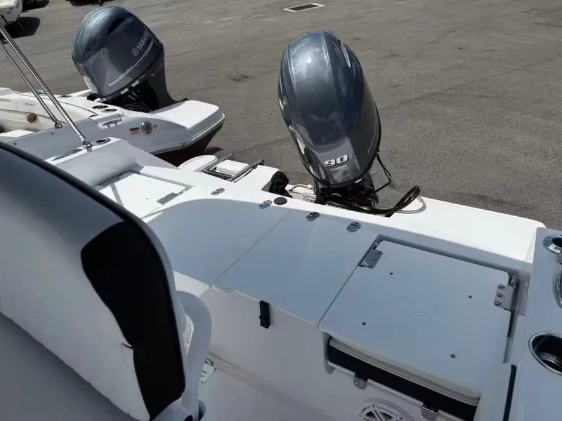 Slide: The Image of Stingray 173 CC 2026 - 5