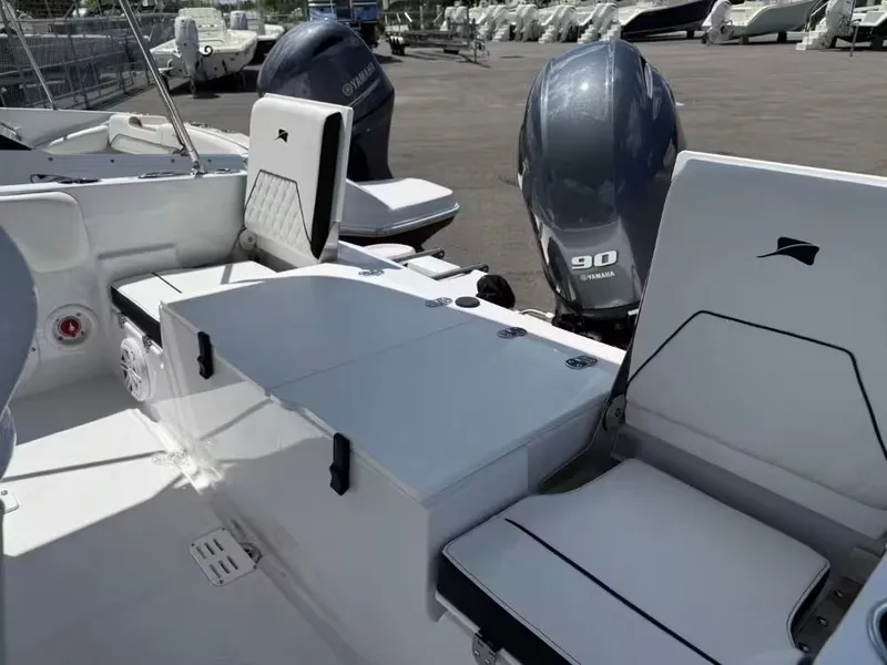 Slide: The Image of Stingray 173 CC 2026 - 6