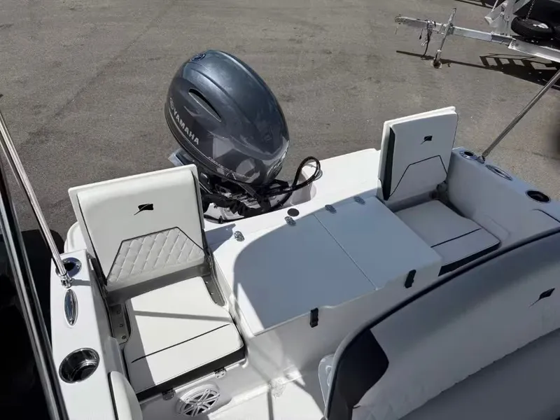 Slide: The Image of Stingray 173 CC 2026 - 7