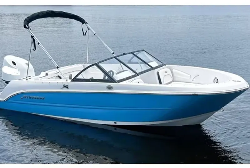 Slide: The Image of Stingray 172 DC 2026 - 2