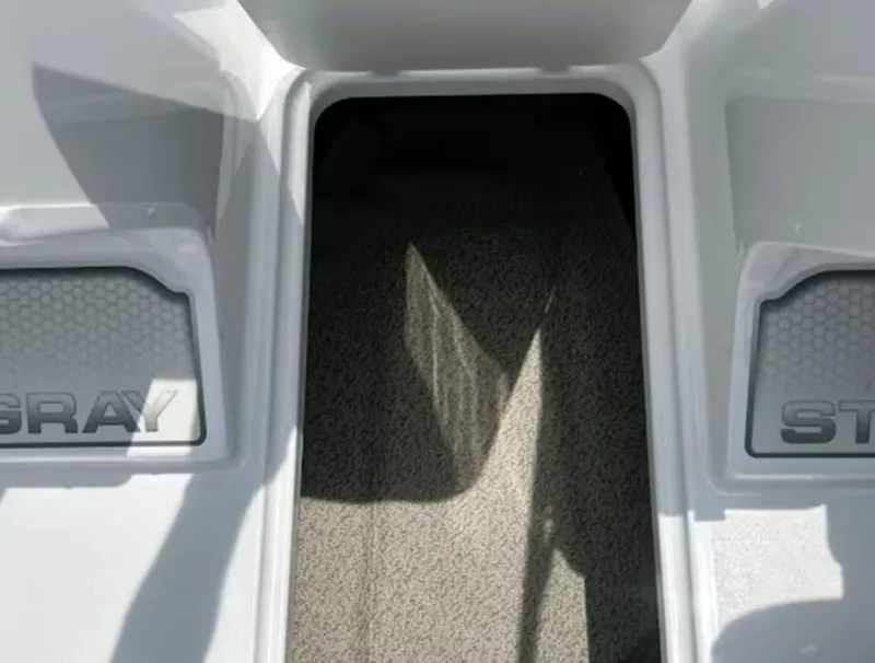 Slide: The Image of Stingray 172 DC 2026 - 6