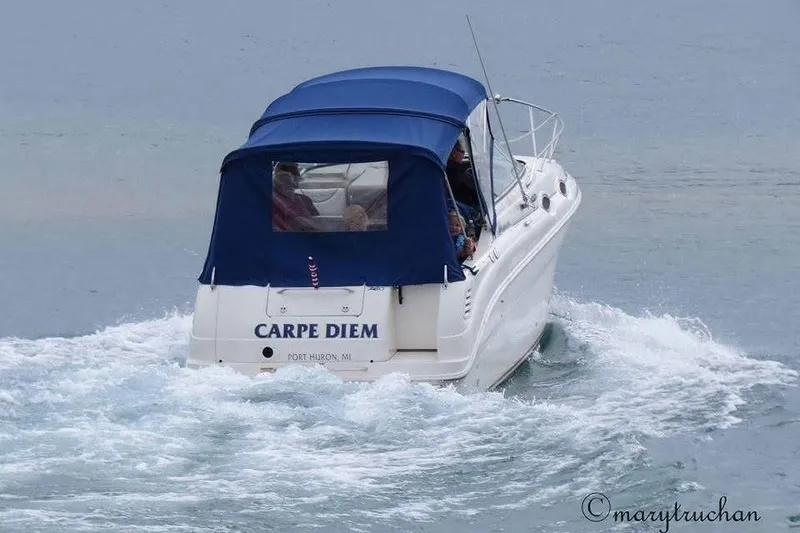 Slide: The Image of 2003 Sea Ray 260 Sundancer boat named "Carpe Diem" cruising on water. - 50