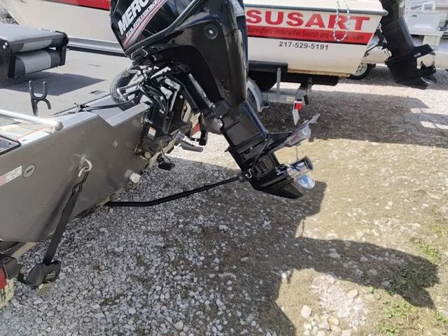 Slide: The Image of Lowe Stinger 175 2017 - 7