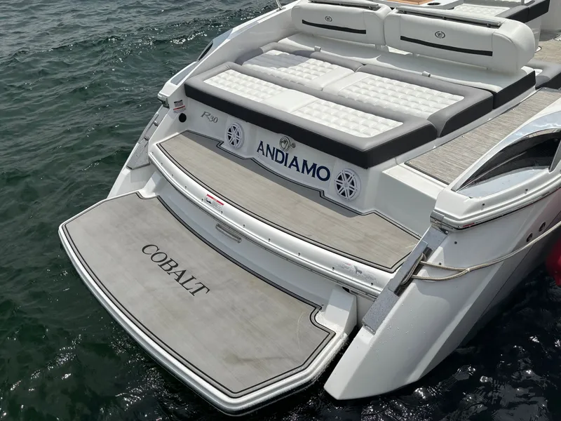 Slide: The Image of Cobalt R30 2023 - 198