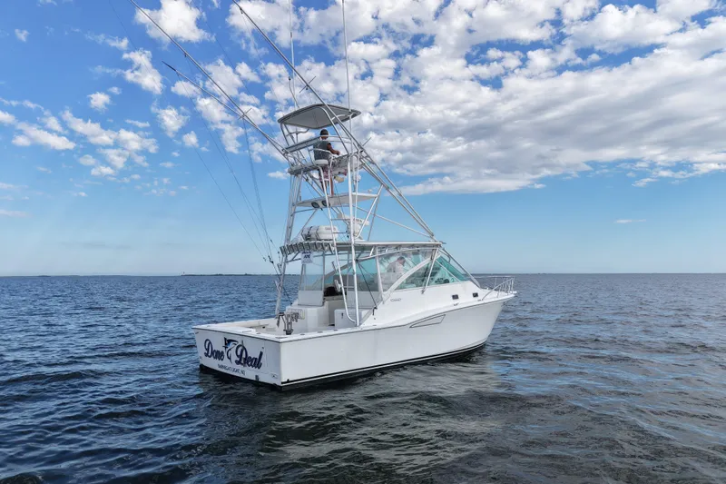 Slide: The Image of 2001 Cabo 35 Express boat on open water under a partly cloudy sky. - 4