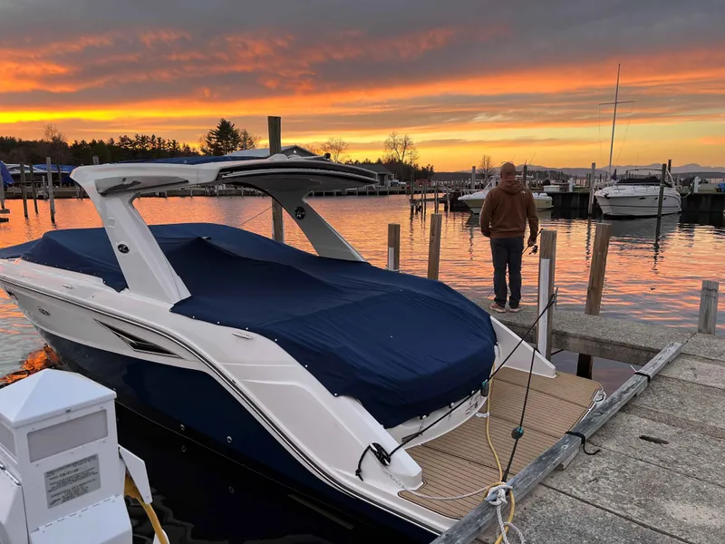 Slide: The Image of Sea Ray 310SLX 2020 - 4