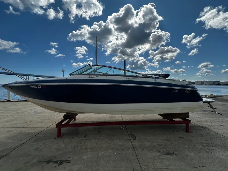 The Image of Cobalt 240 2003 - 0