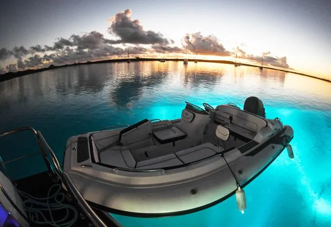 Slide: The Image of Tender - 114