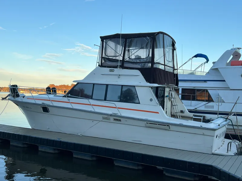 Slide: The Image of Silverton 37 Convertible 1981 - 2