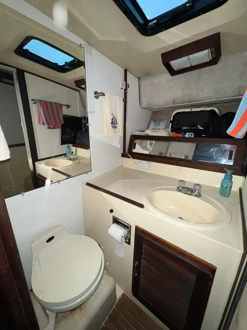 Slide: The Image of Silverton 37 Convertible 1981 - 26