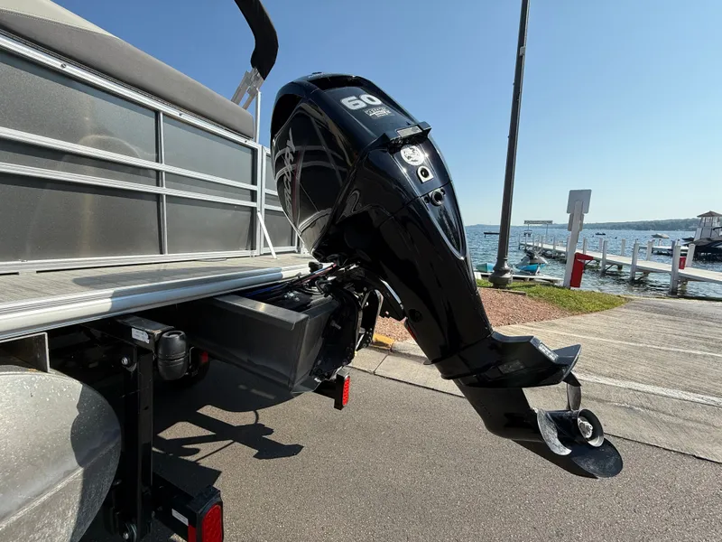 Slide: The Image of Sylvan Mirage 2023 - 876