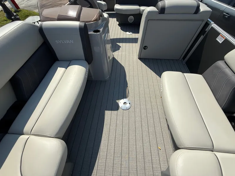 Slide: The Image of Sylvan Mirage 2023 - 990