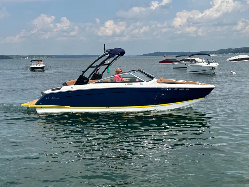 Slide: The Image of Cobalt R6 2023 - 1002