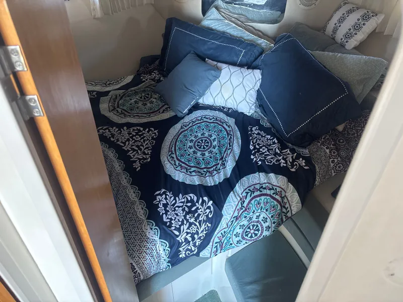 Slide: The Image of Carver 320 Voyager 1996 - 23