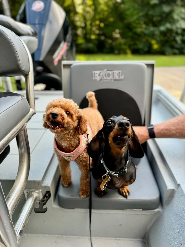 Slide: The Image of Excel bay pro 220 2021 - 12