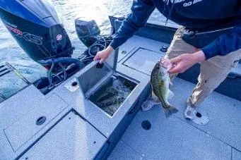 Slide: The Image of Person holding fish on Lowe 1875 FM WT boat, 2026 model, near livewell. - 5