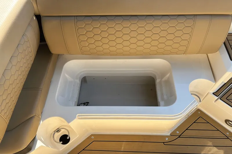 Slide: The Image of Sea Ray SDX 250 2019 - 41