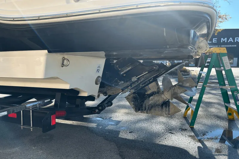 Slide: The Image of Sea Ray SDX 250 2019 - 9