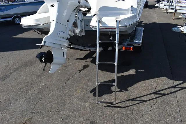 Slide: The Image of Stingray 191 DC 2024 - 19